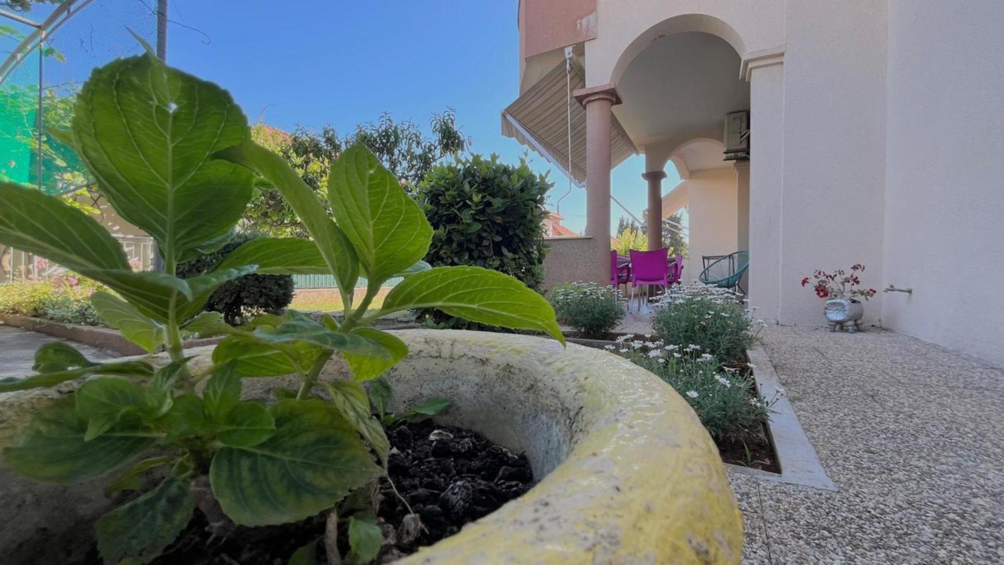Apartments Villa Rotim ザダル エクステリア 写真